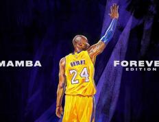 开云APP-在多特蒙德的聚光灯下，王皓的棋盘如何让德国战车碾过瑞典坚冰？