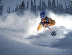 开云体育app-红土之魂，绿草为尘，蒂姆率法网联军，以孤胆写就跨界传奇